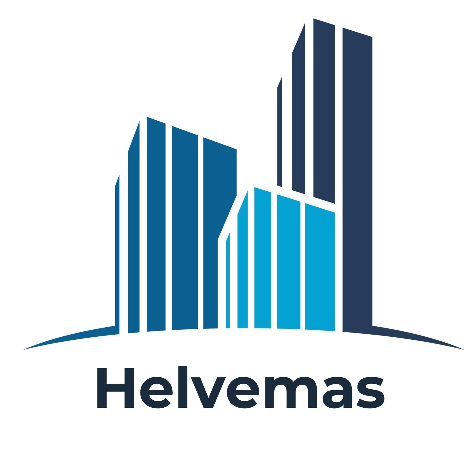 logo helvemas low res